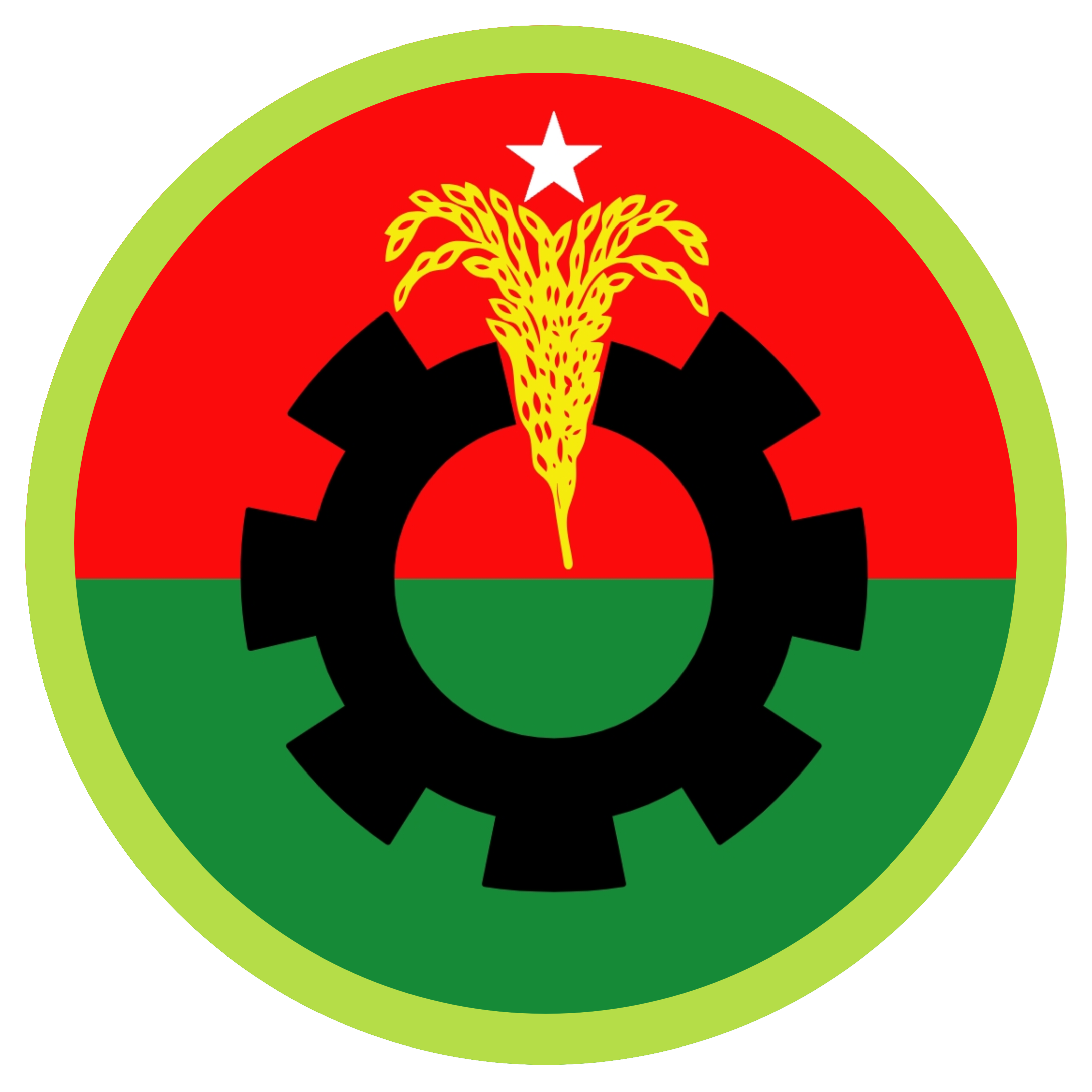 BNP Rajshahi Logo